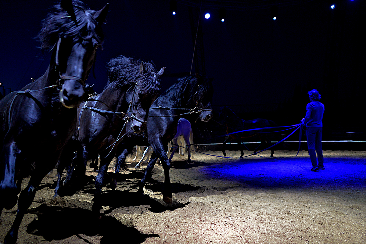 Cirque Gruss Béziers