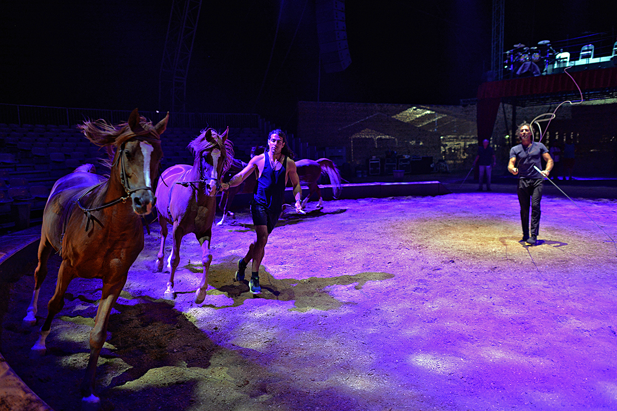 Cirque Gruss Béziers