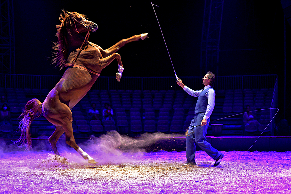 Les Folies Gruss Béziers