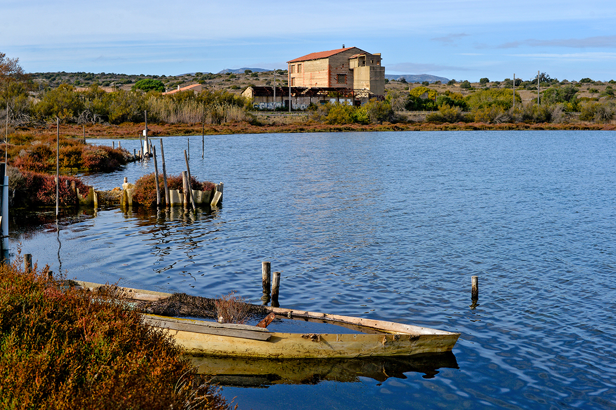 Fitou Étang de Leucate