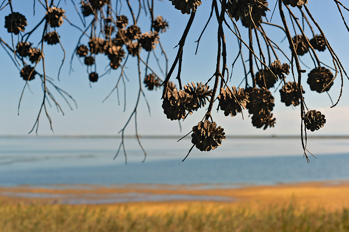Île Sainte Lucie - Port La Nouvelle