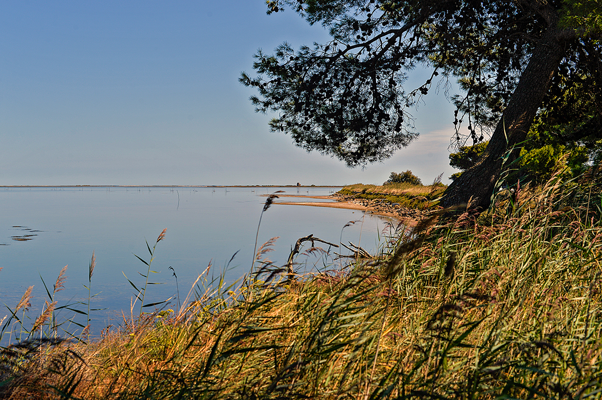 Île Sainte Lucie - Port La Nouvelle