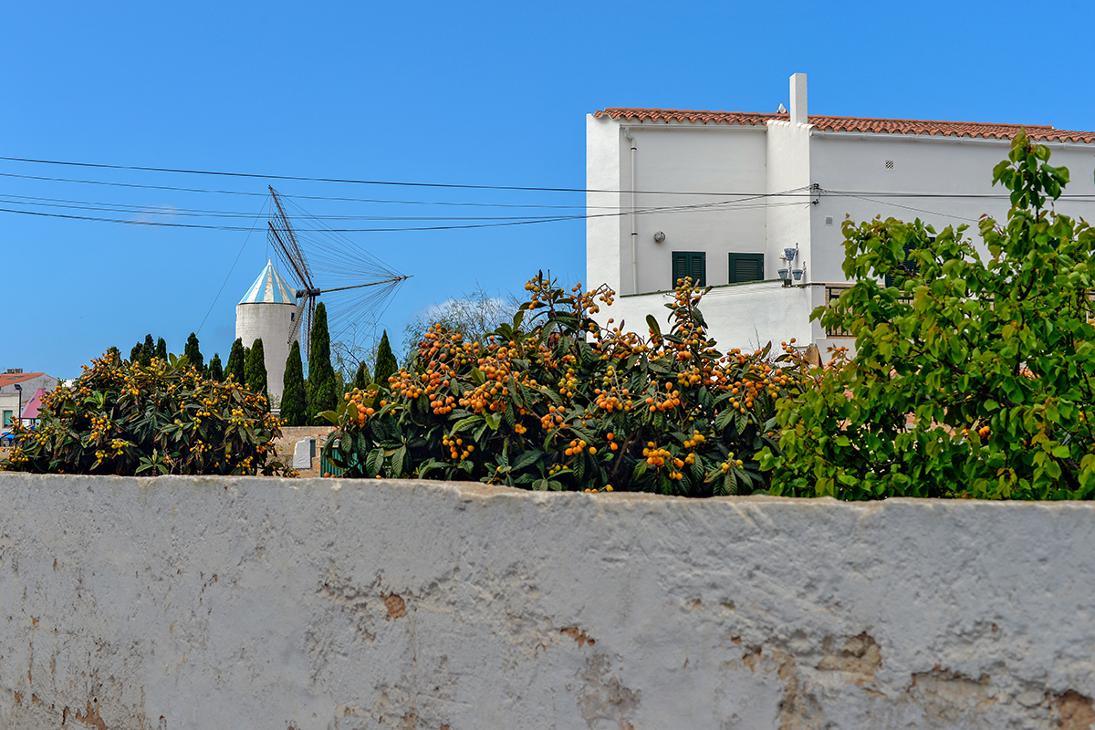 Sant Lluis Minorque Baléares Espagne