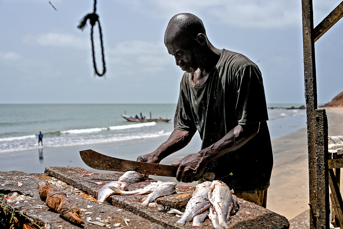 Bakau Fishing Harbour Banjul the Gambia