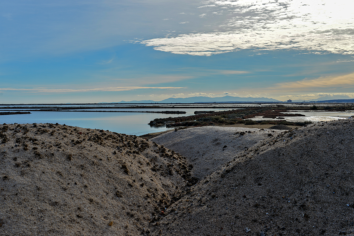 Gruissan dans L'Aude Salins