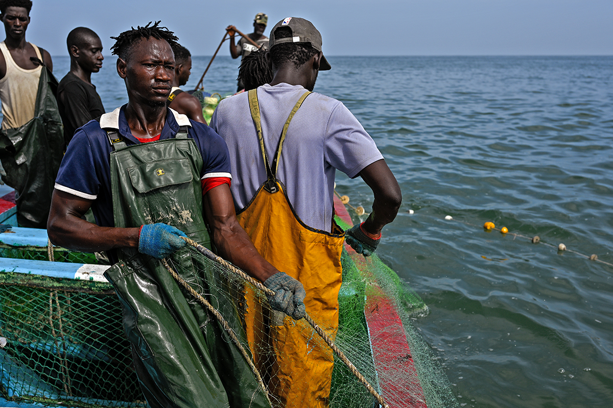 Bakau Fishing Harbour Banjul the Gambia