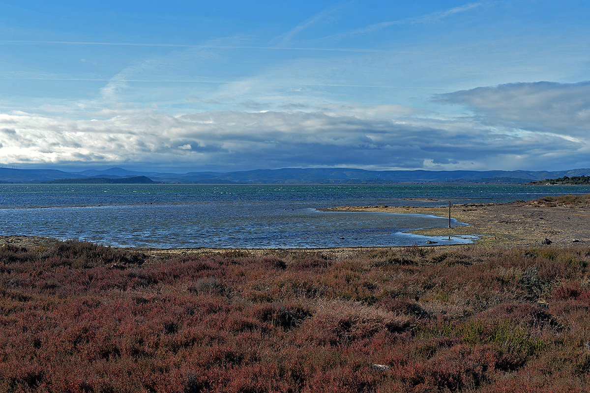 L'Étang de l'Ayrolle Gruissan