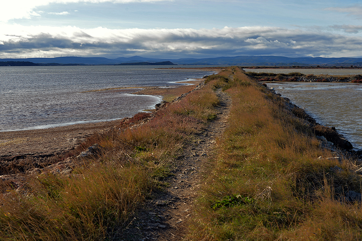 L'Étang de l'Ayrolle Gruissan