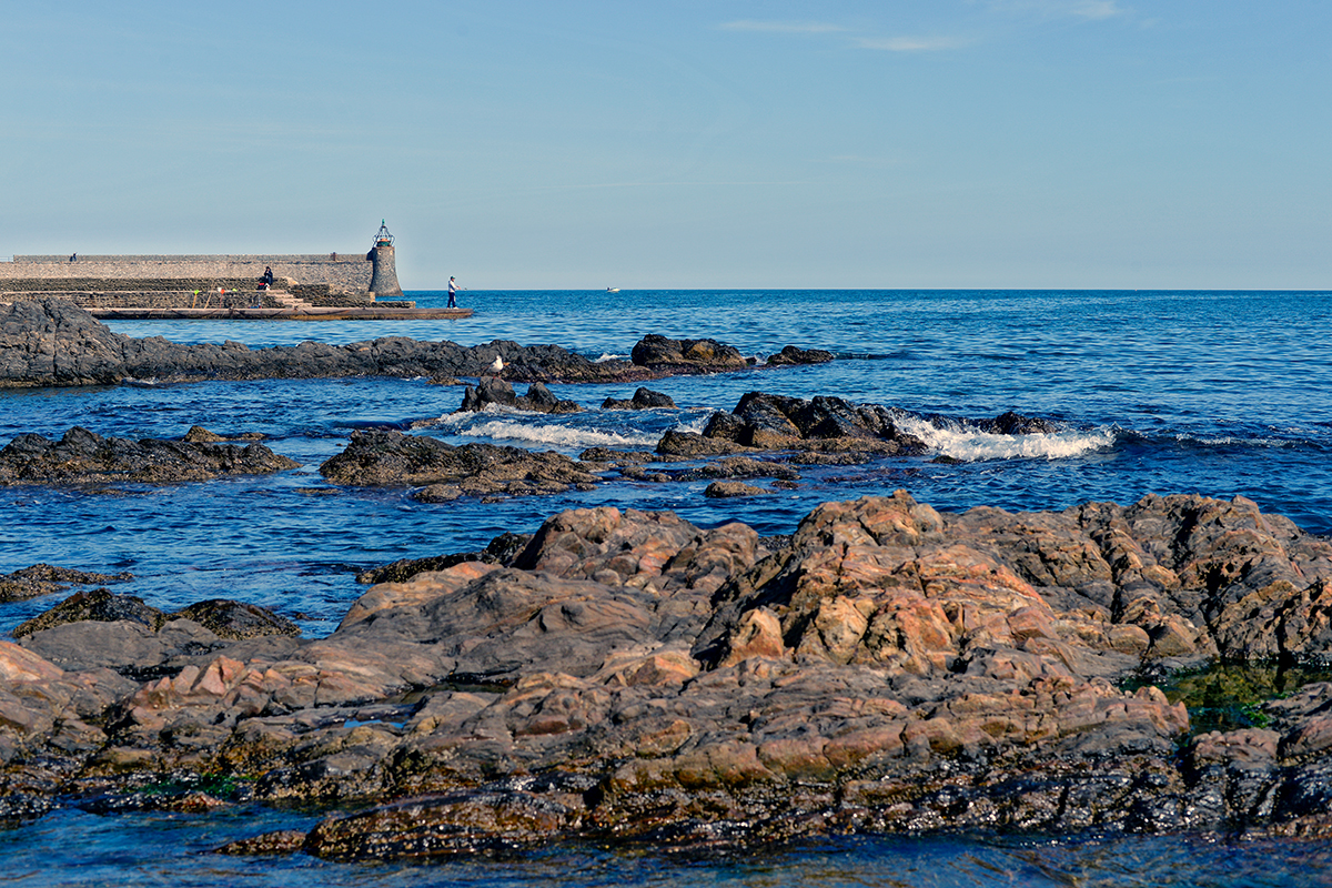 Le phare de Collioure