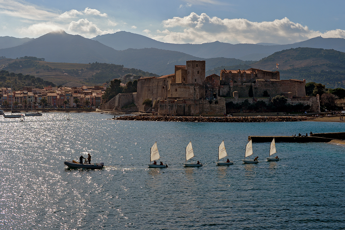 Le Château Royal Collioure
