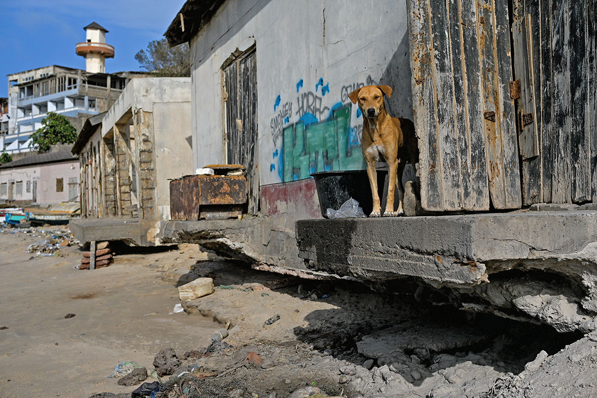 Bakau Fishing Harbour Banjul the Gambia