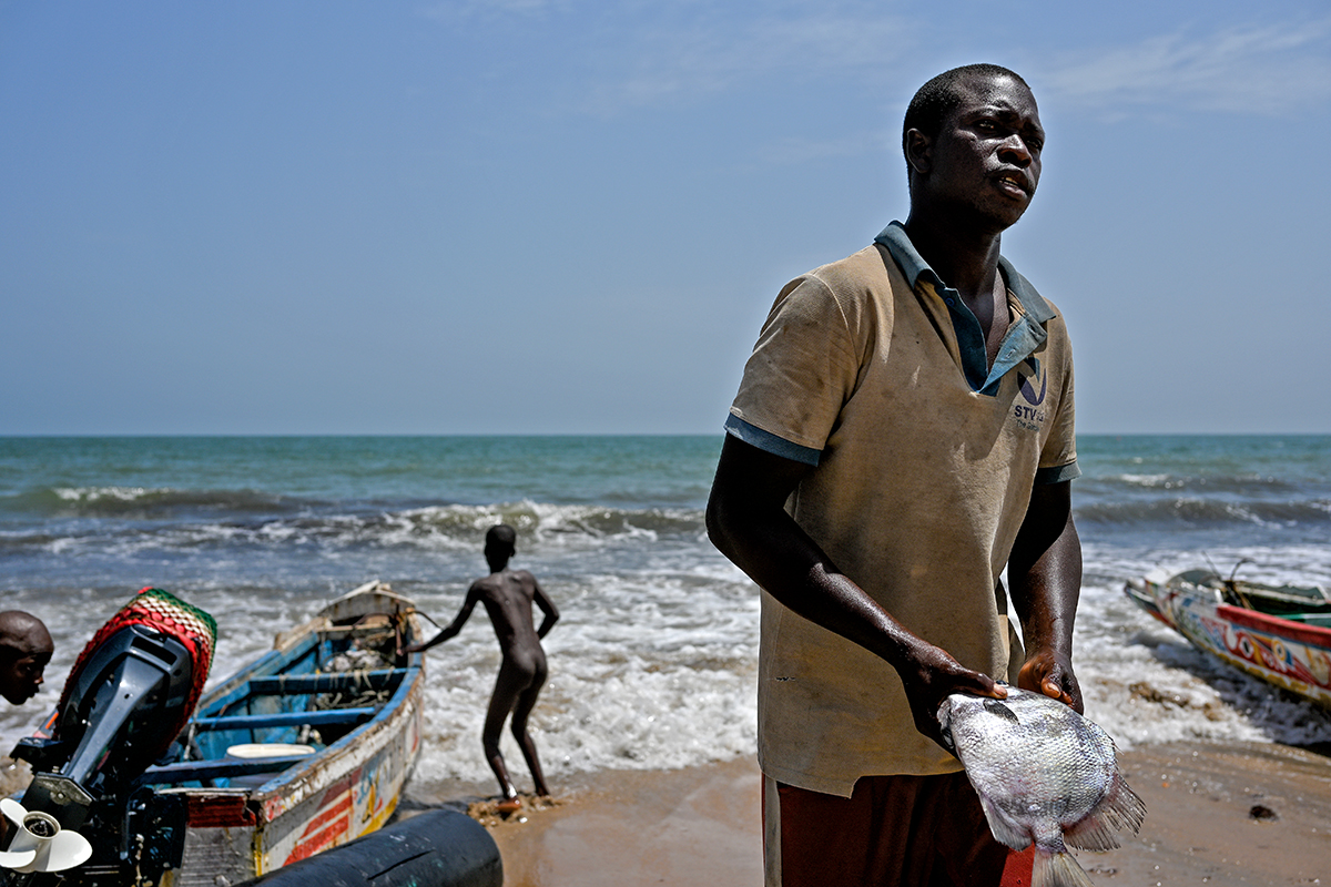 Bakau Fishing Harbour Banjul the Gambia