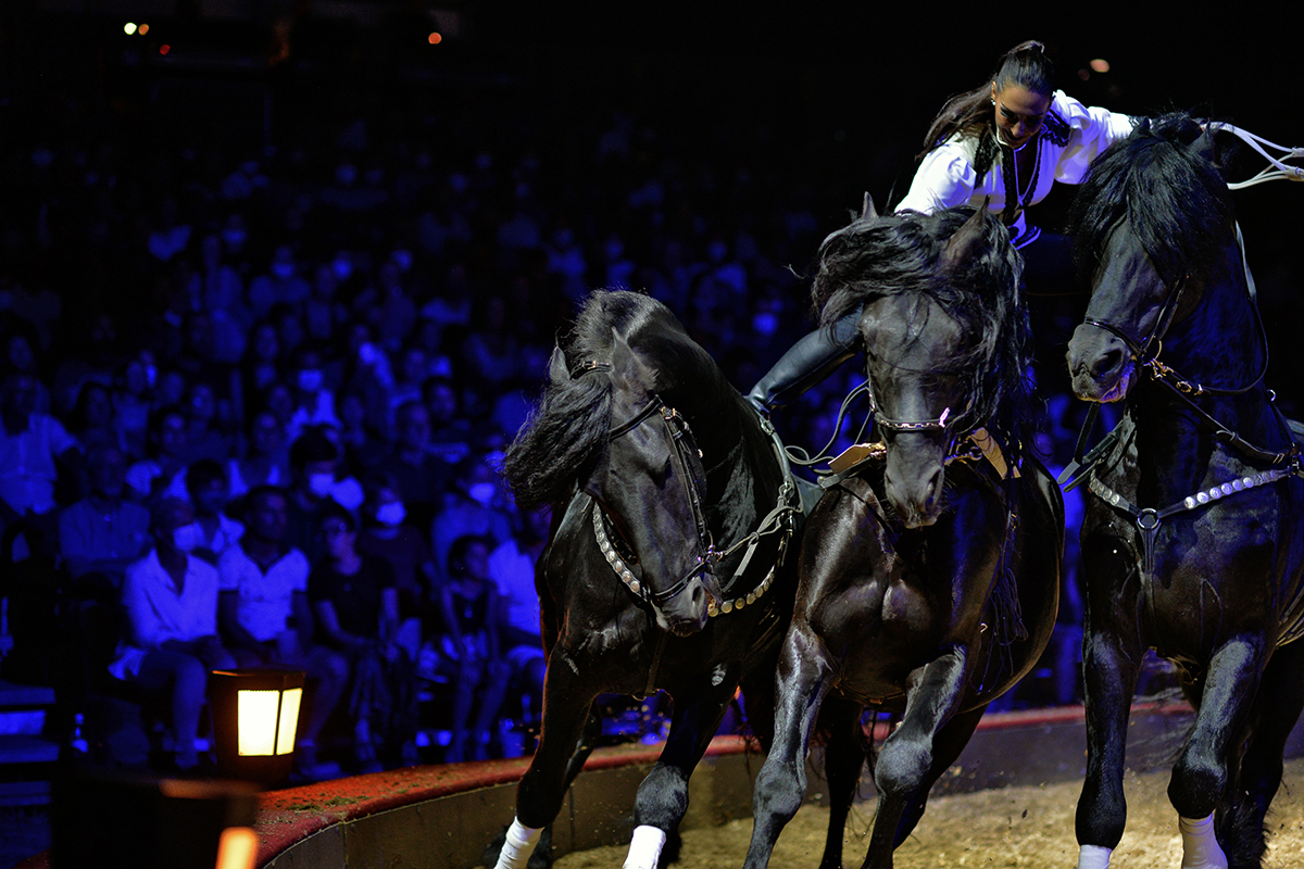 Les Folies Gruss Béziers
