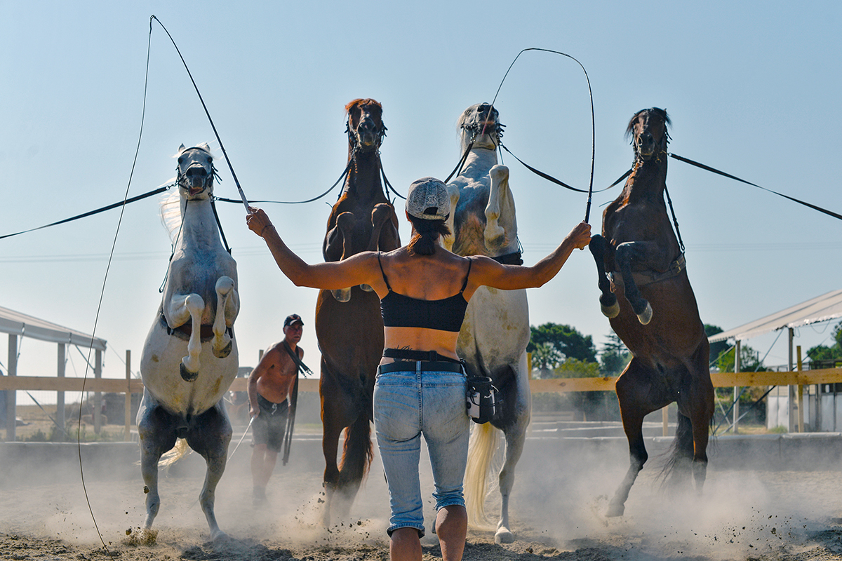 Folies Gruss Béziers