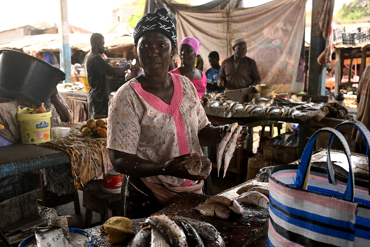 Bakau Fishing Harbour Banjul the Gambia