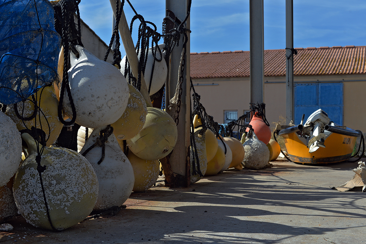 Mèze Étang de Thau Hérault