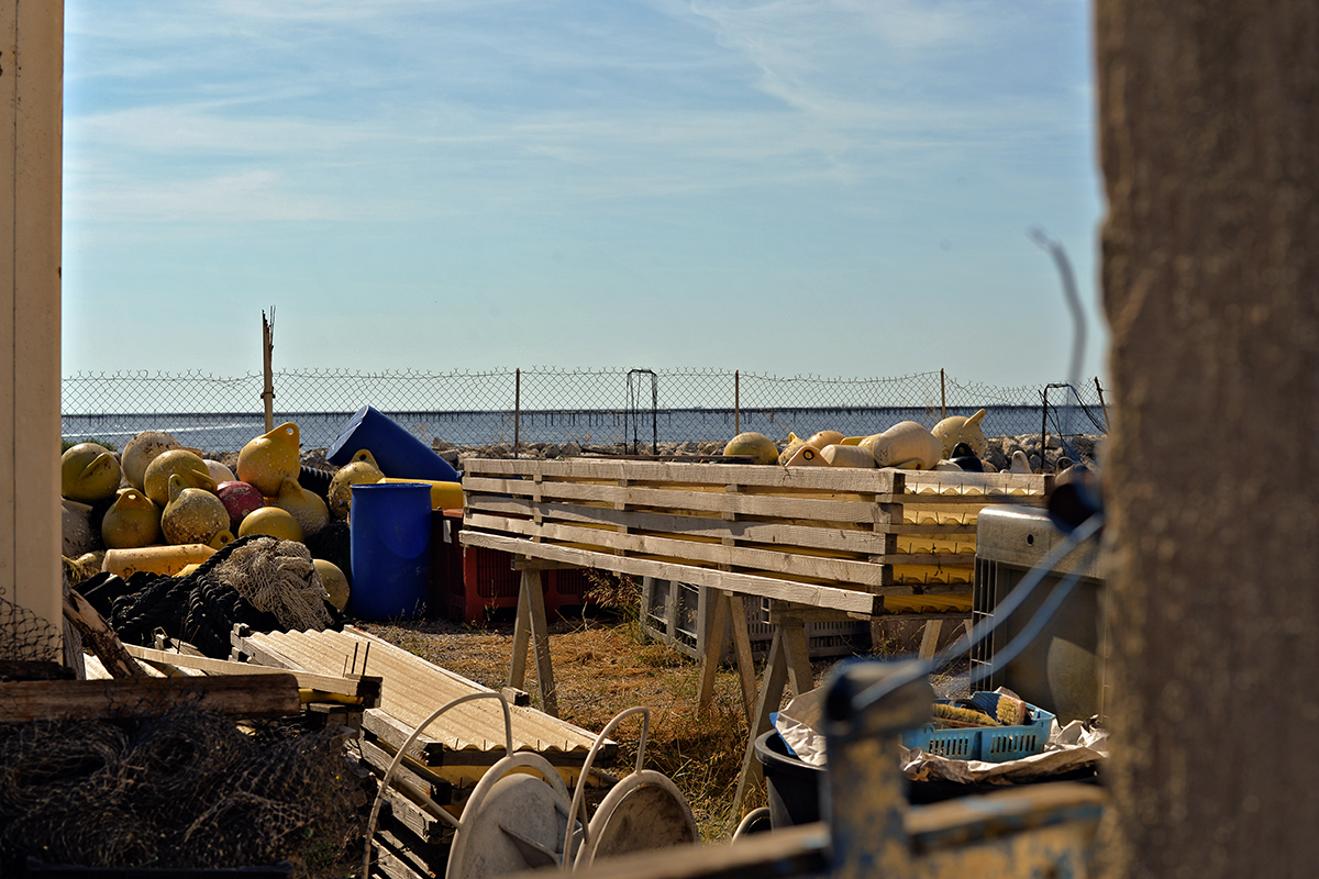 Mèze Étang de Thau Hérault