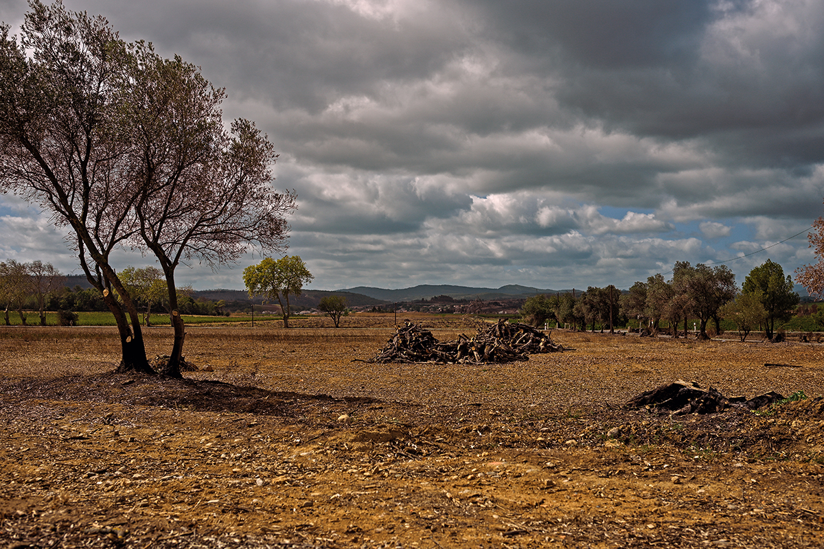 Sol sec et végétation calcinée dans les Corbières, été 2025