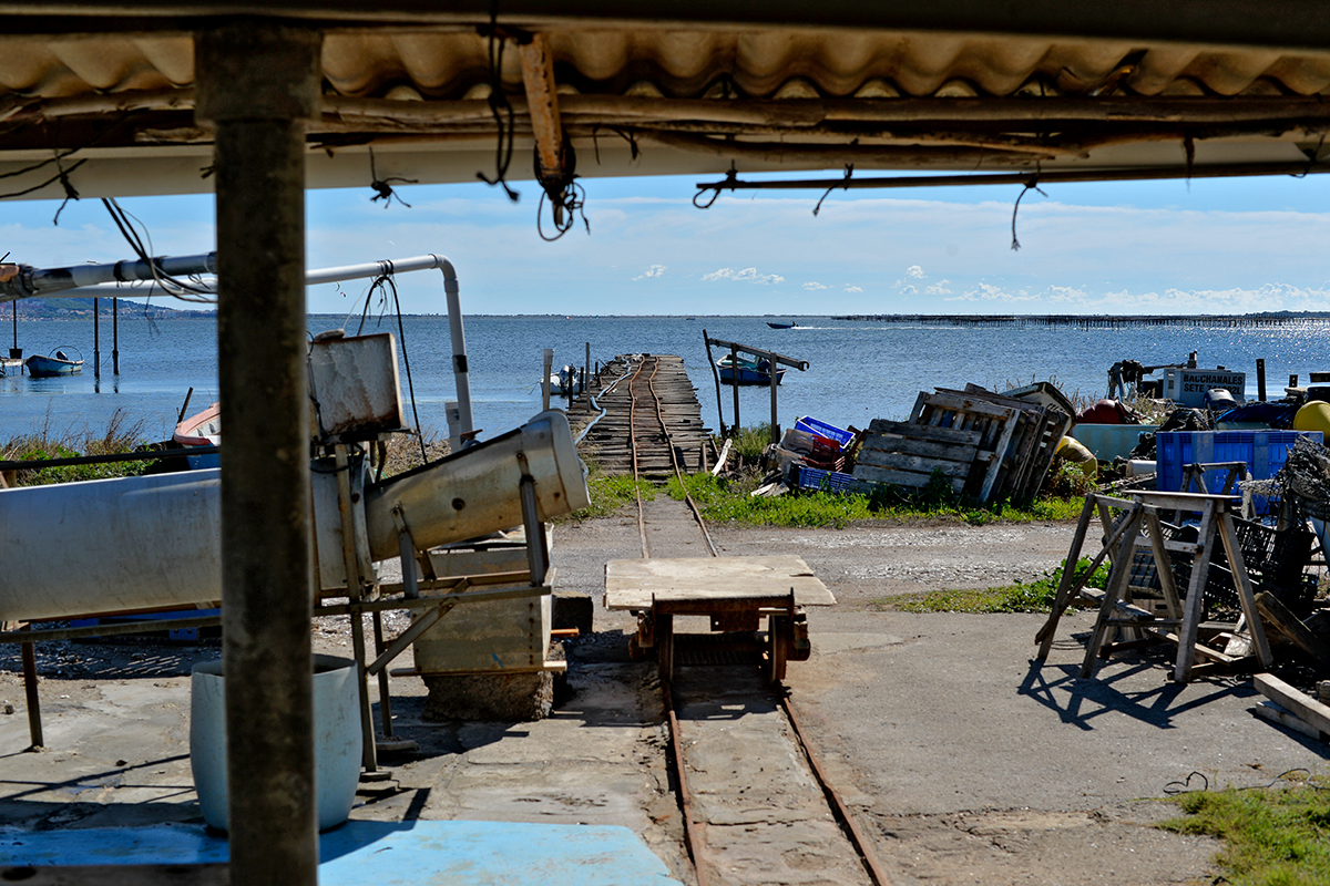 Les Amoutous Mèze Étand de Thau