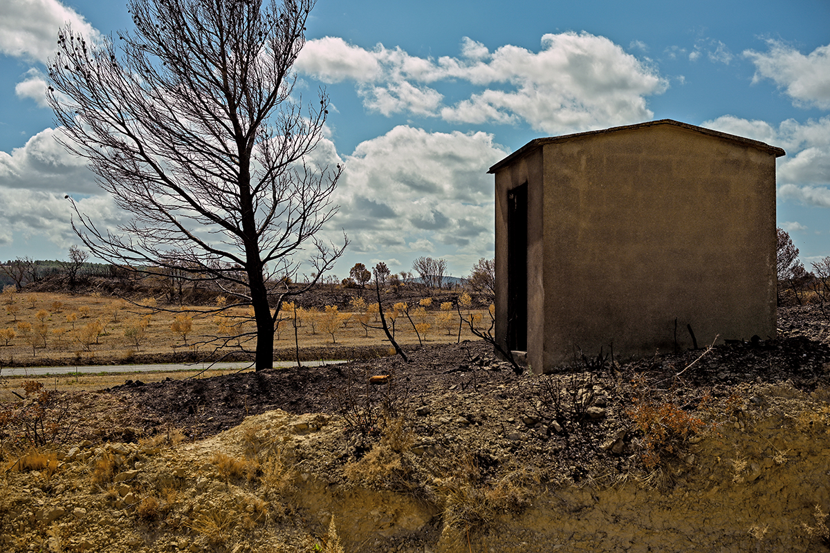 Sol sec et végétation calcinée dans les Corbières, été 2025