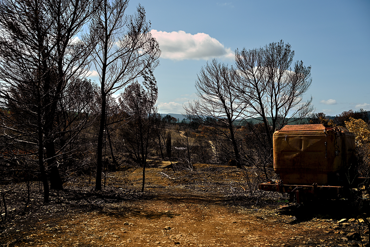 Paysage noirci par le feu dans le massif des Corbières