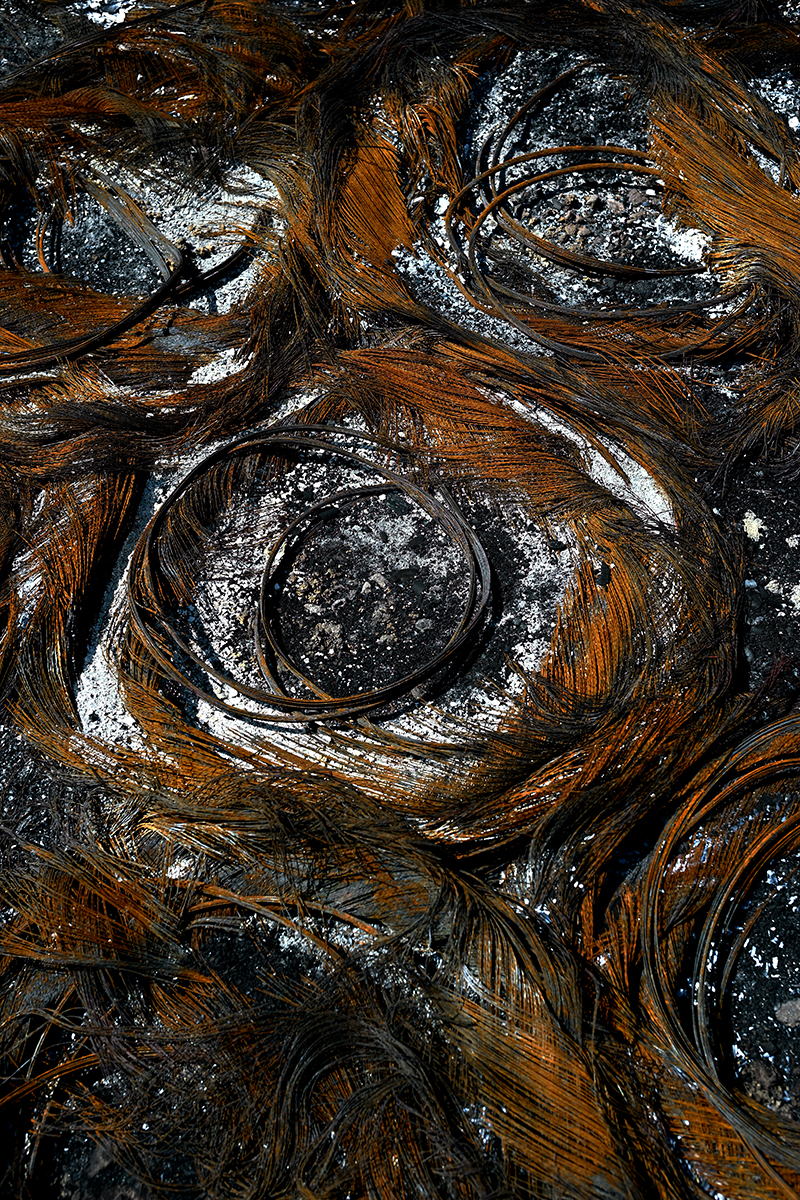 Sol sec et végétation calcinée dans les Corbières, été 2025