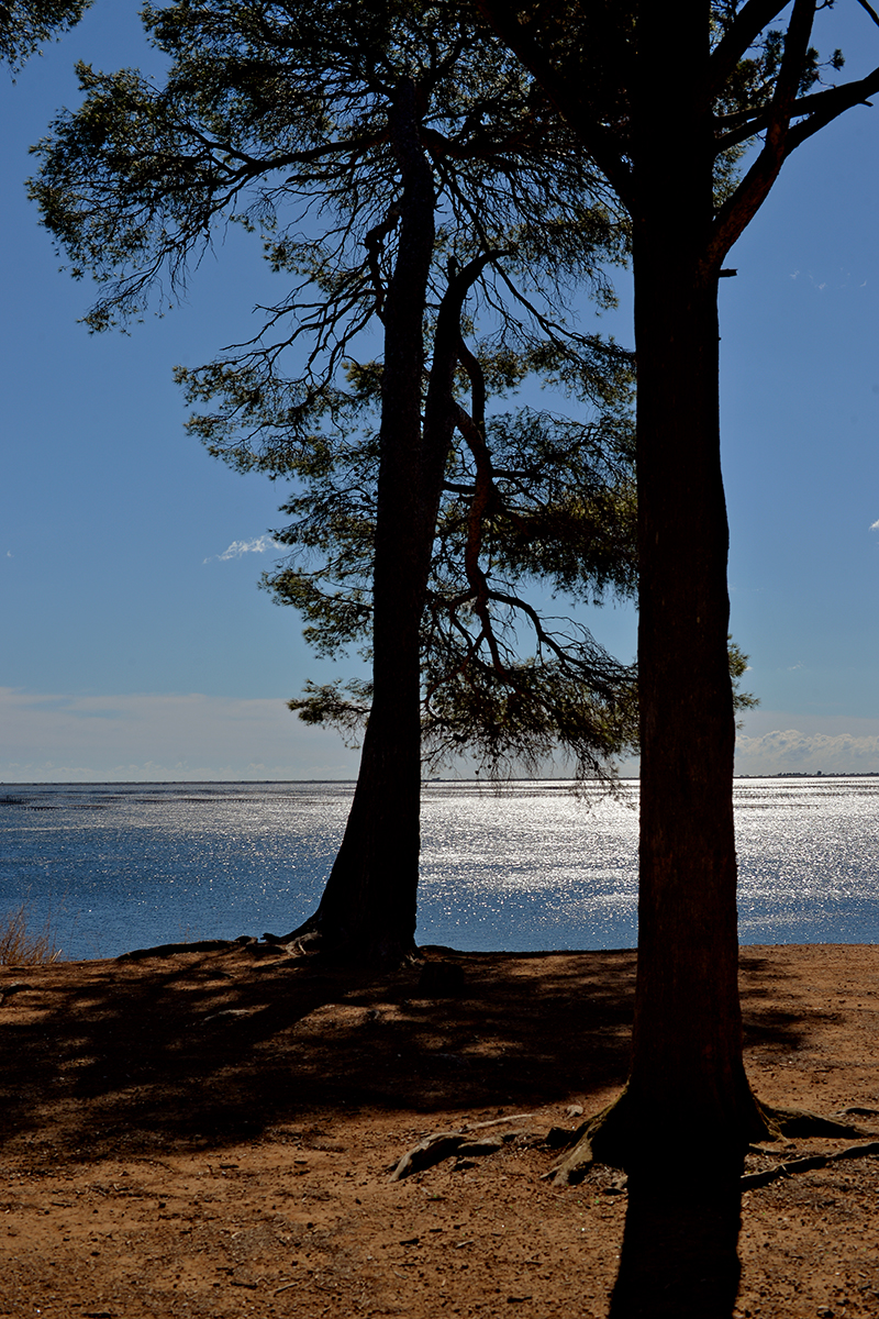 Mèze Hérault Étang de Thau
