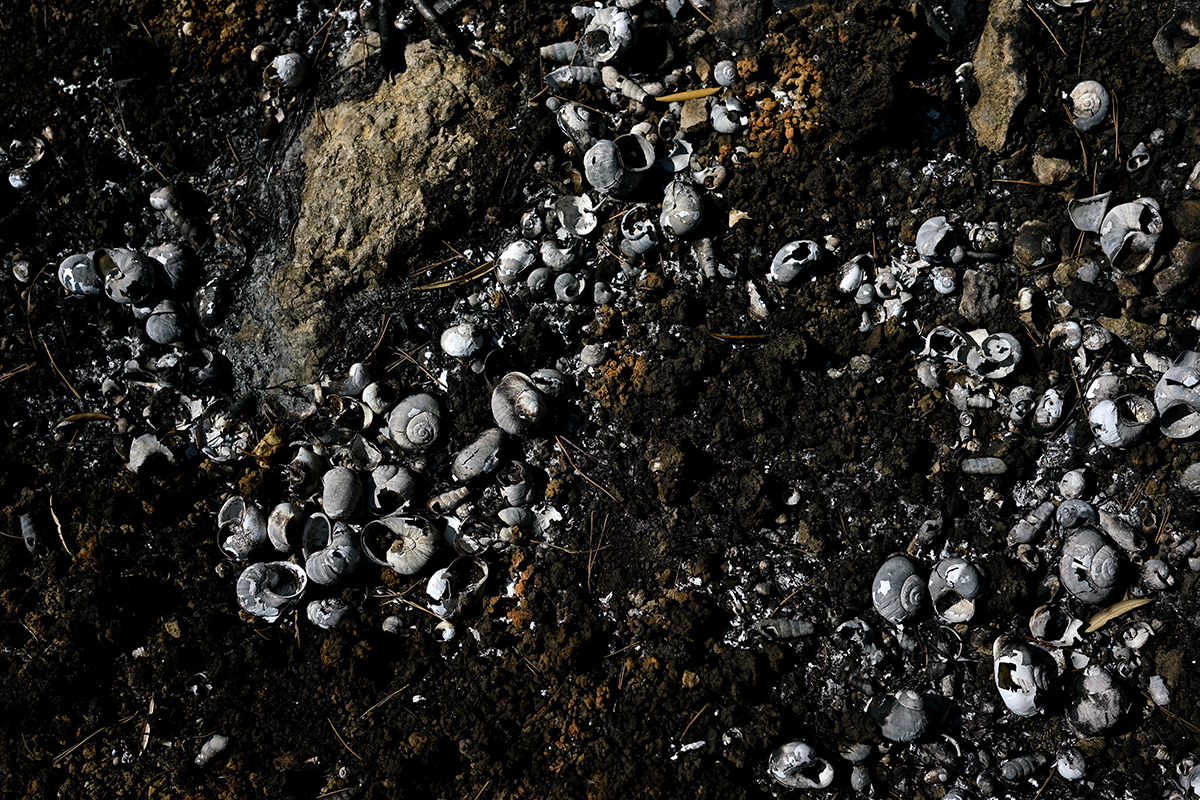 Sol sec et végétation calcinée dans les Corbières, été 2025