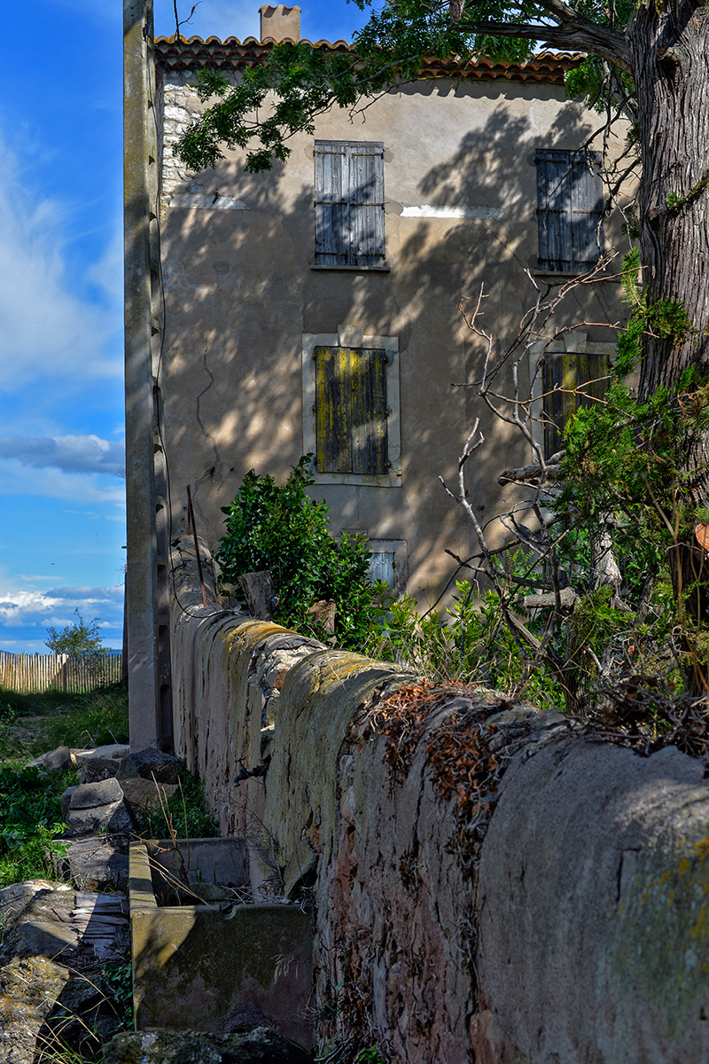 Mèze Hérault Étang de Thau