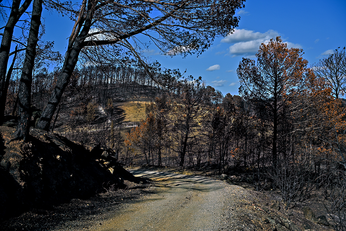 Paysage noirci par le feu dans le massif des Corbières