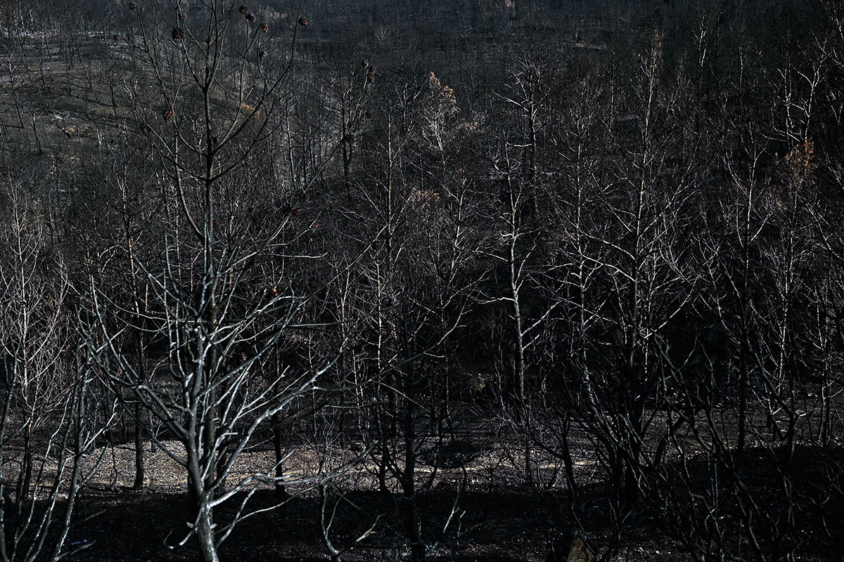 Paysage noirci par le feu dans le massif des Corbières