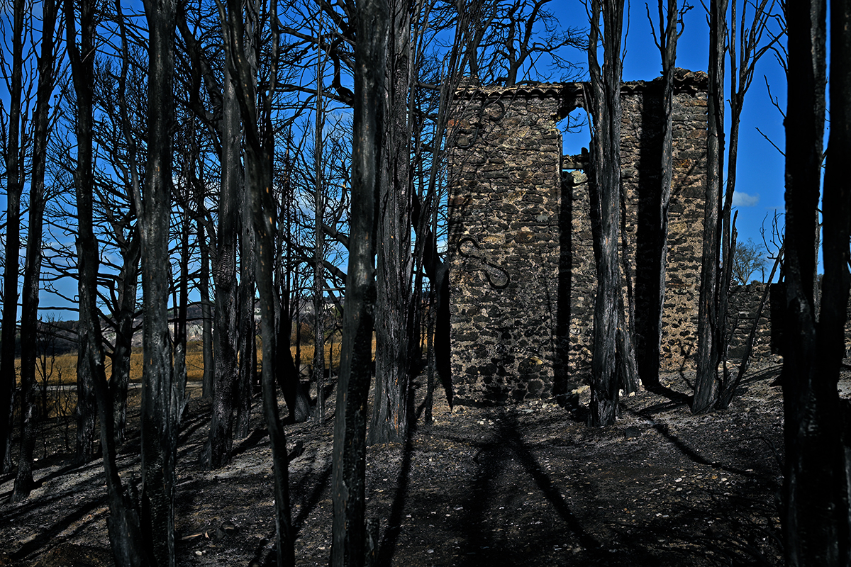 Paysage noirci par le feu dans le massif des Corbières