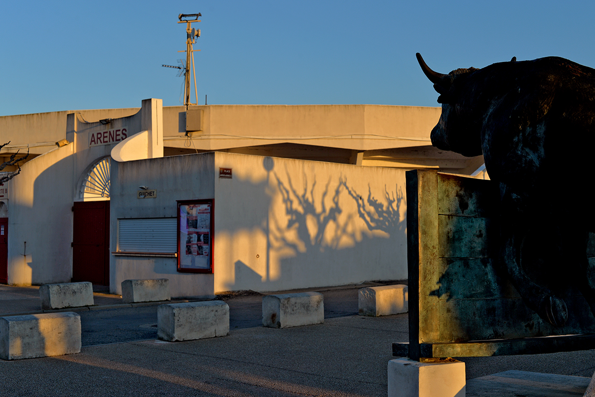 Saintes-Maries-de-la-Mer