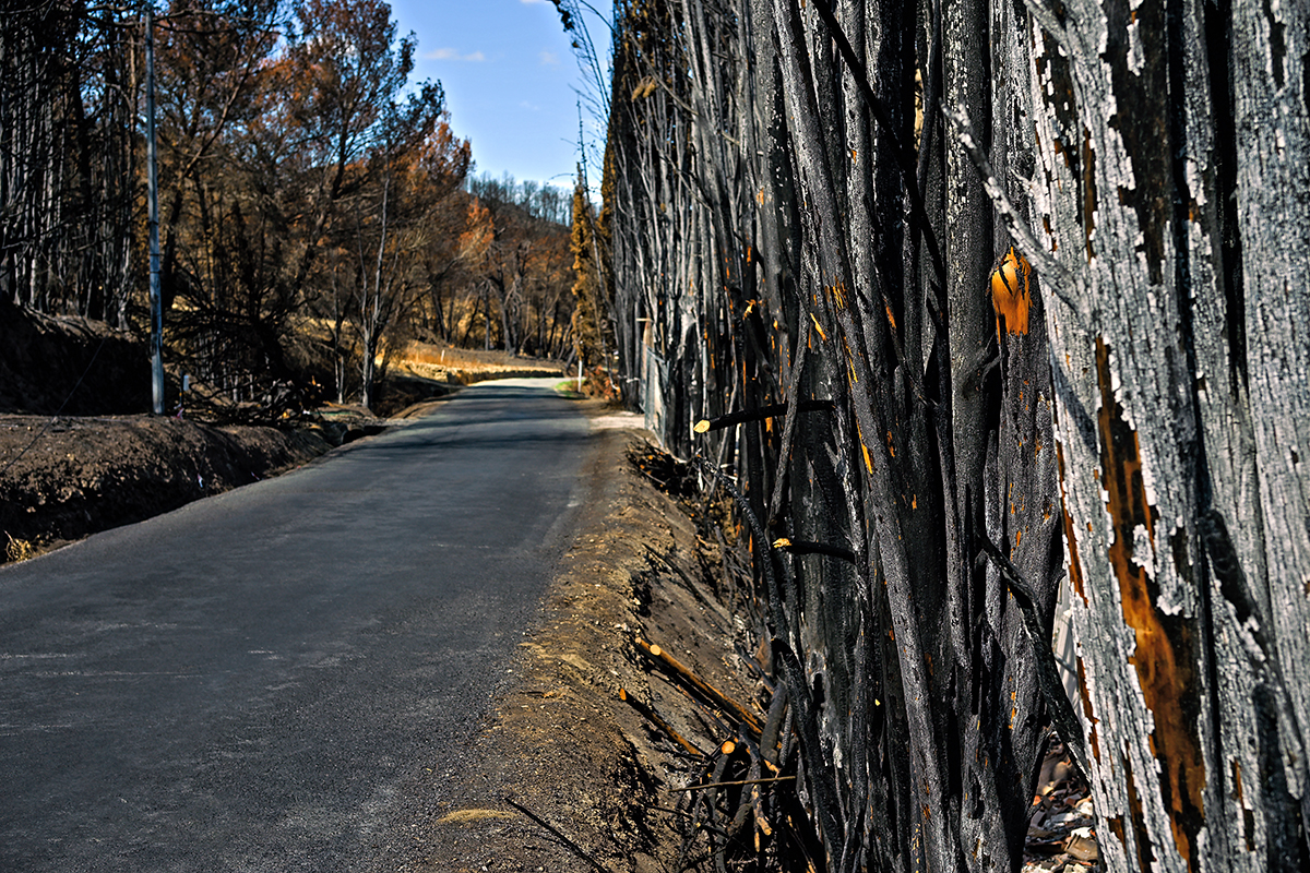 Paysage noirci par le feu dans le massif des Corbières