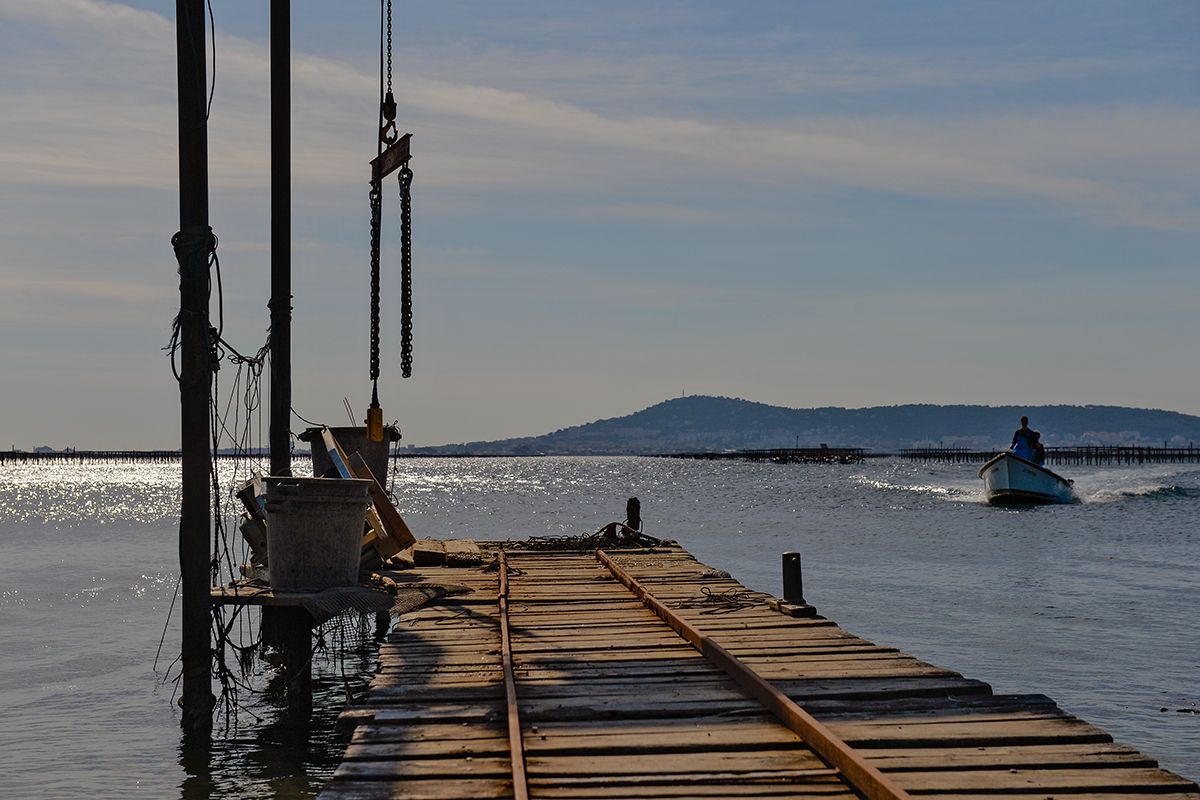 Un ponton en bois équipé de rails s'avance dans l'eau, bordé par une grue et des équipements ostréicoles. En arrière-plan, un homme navigue sur une barque rapide, tandis que le mont Saint-Clair se dessine à l'horizon sous un ciel clair.