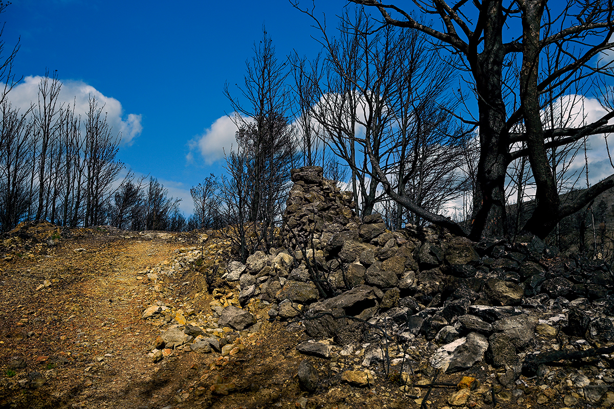 Paysage noirci par le feu dans le massif des Corbières