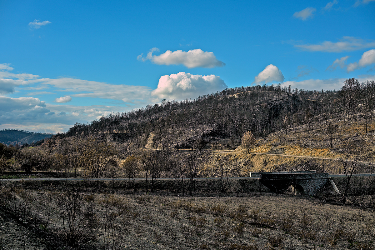 Paysage noirci par le feu dans le massif des Corbières