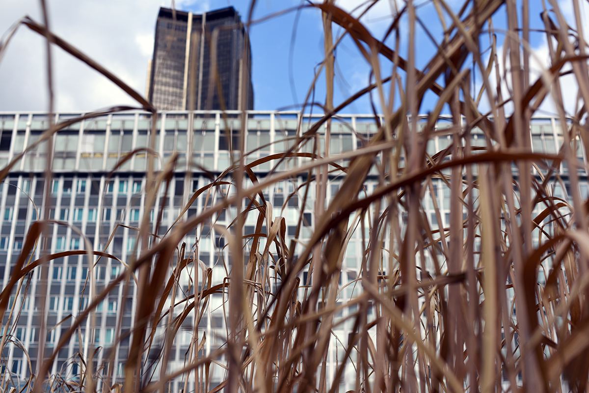 Paris XVème Arrondissement 58ème Quartier