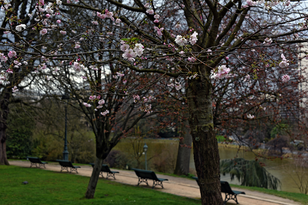Paris XIVème Arrondissement 54ème Quartier
