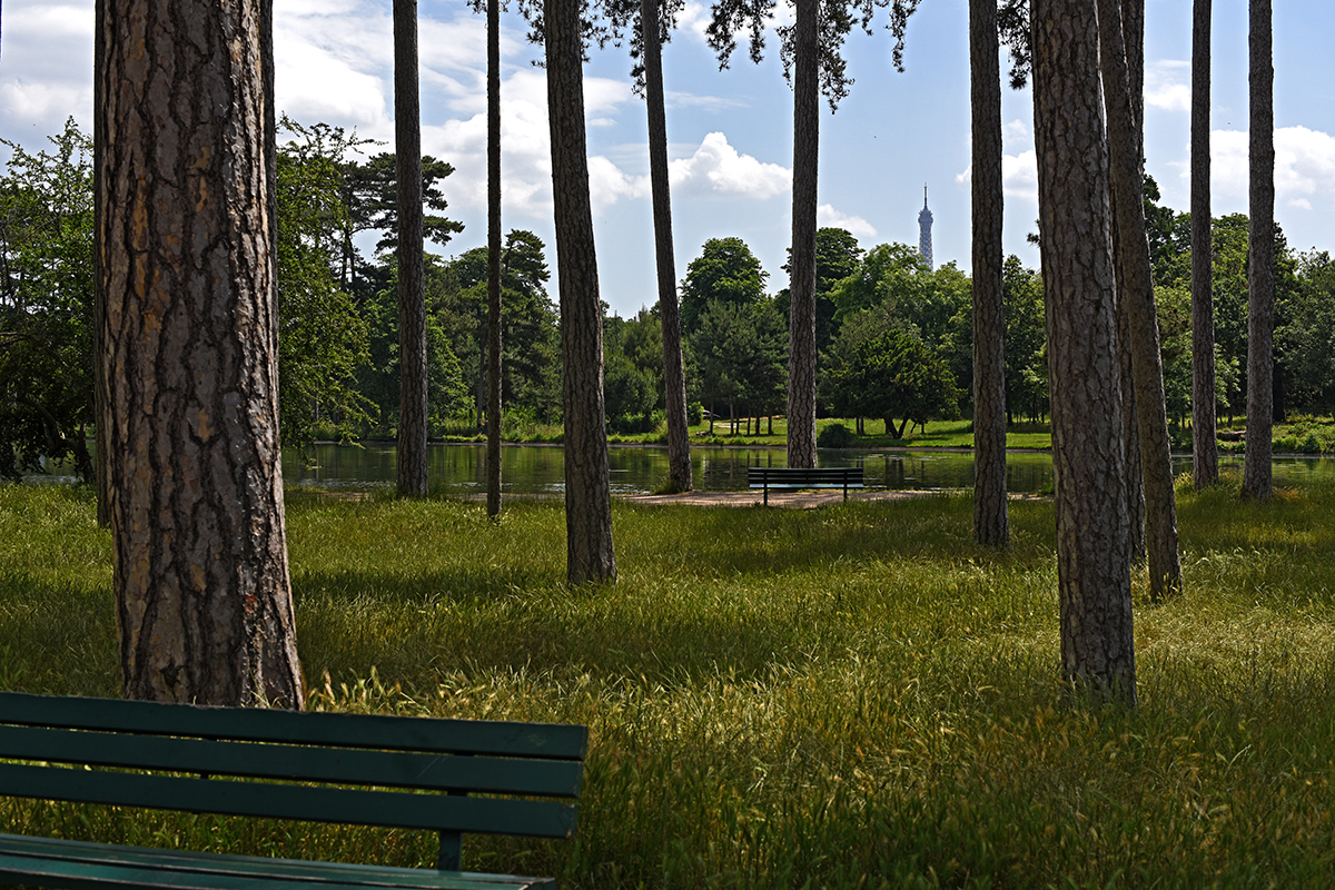 Paris XVIème Arrondissement 62ème Quartier