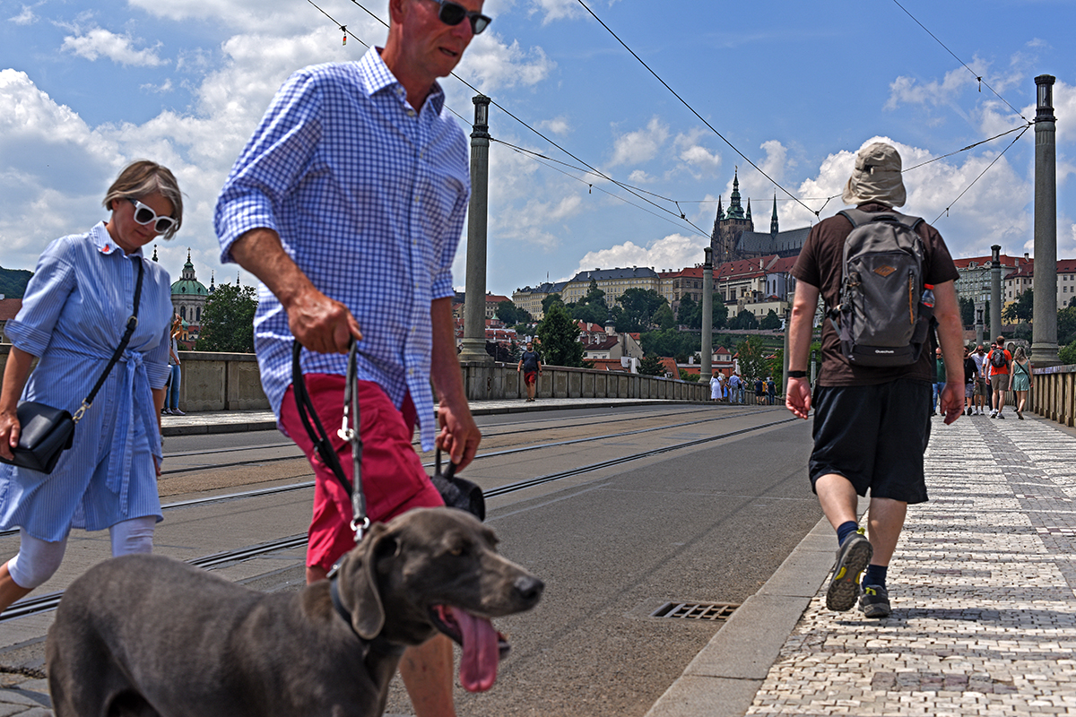 Touristes marchant sur un pont à Prague avec des chiens et des vues sur la ville en arrière-plan.