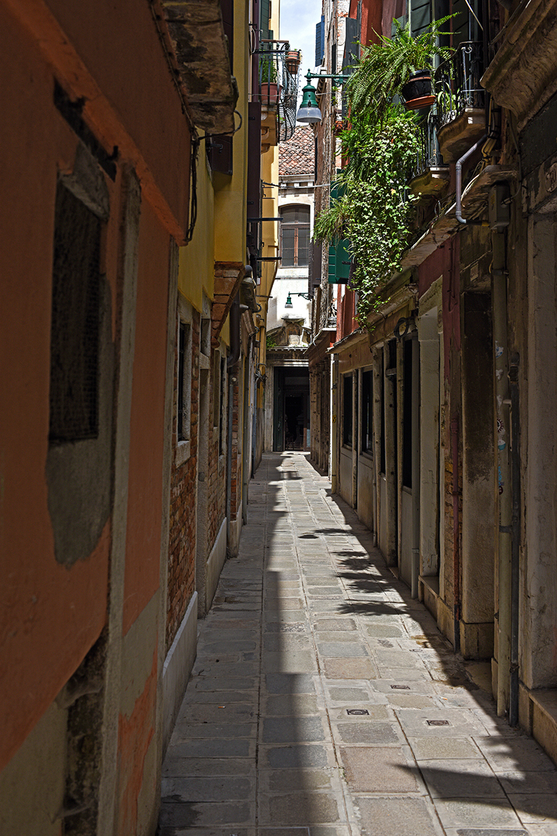 Ruelle étroite et pavée de Venise avec des bâtiments colorés et des plantes sur les balcons.