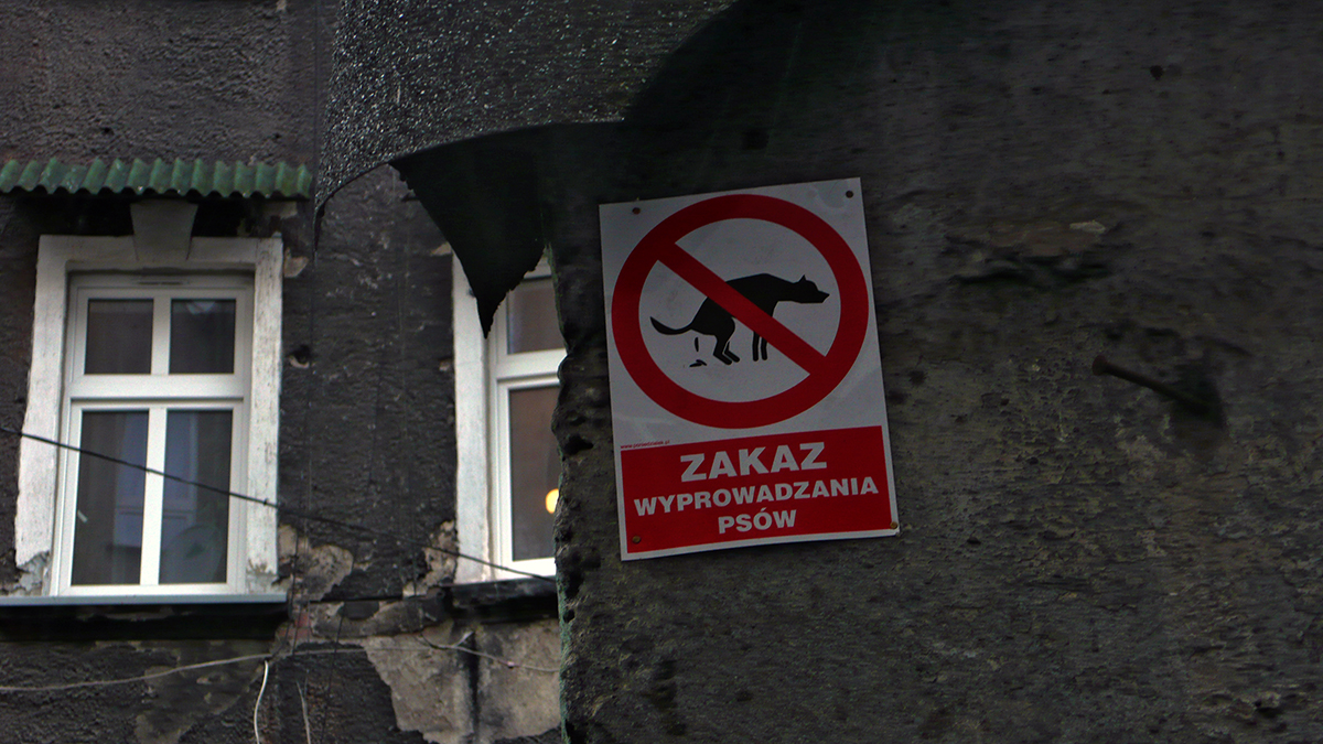 Breslau Wrocław Silésie Pologne
