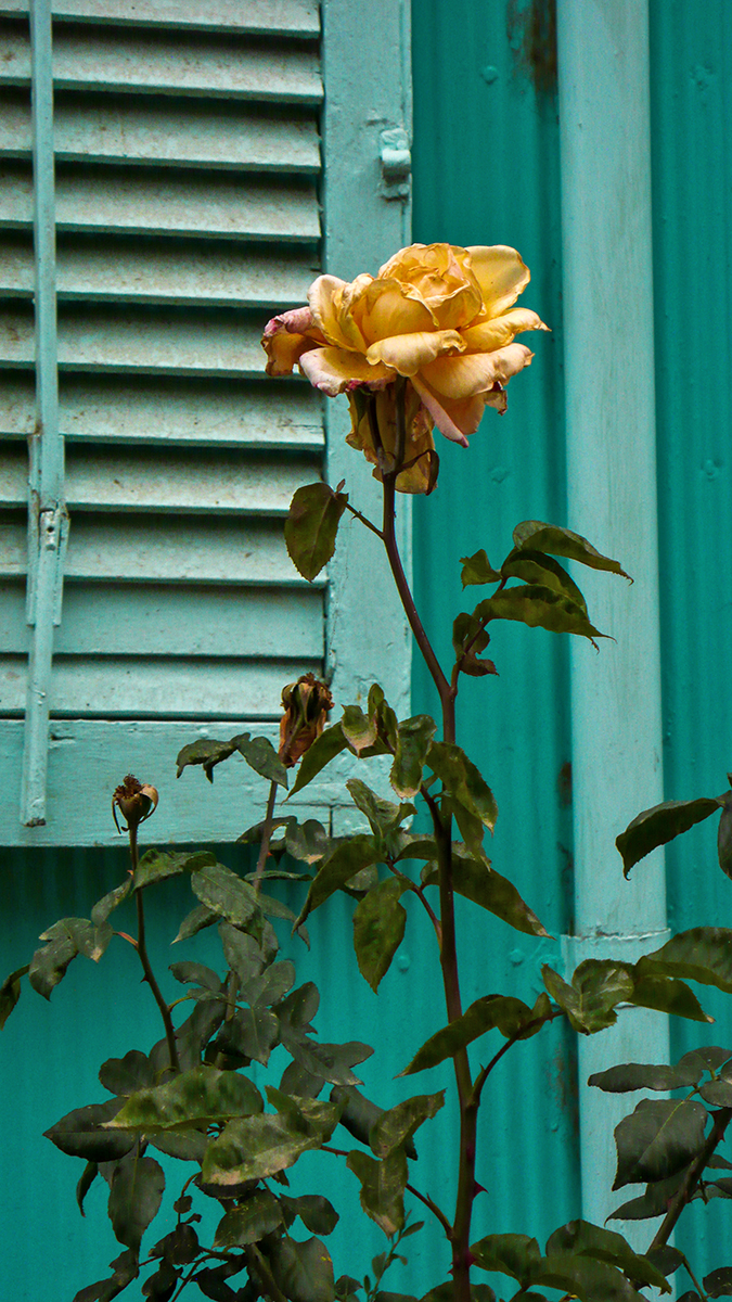 Chili Valparaiso Amérique Latine