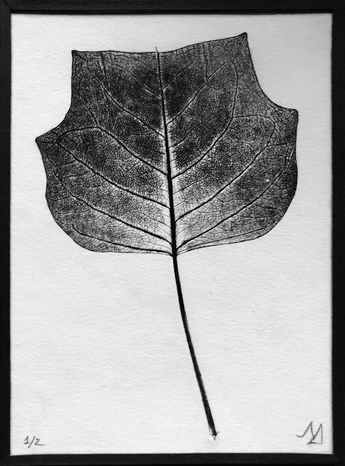 Cadre nature feuille 1