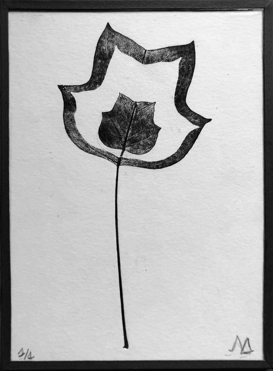 Cadre nature feuille 2
