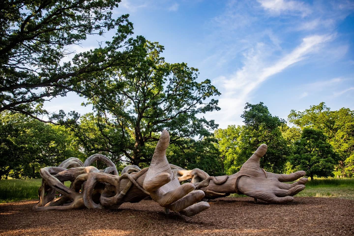 Two long rootlike arms ending in open hands on the grass in Basilica by Daniel Popper at The Morton Arboretum in Lisle, Illinois