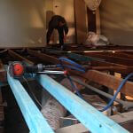 termite damage repairs