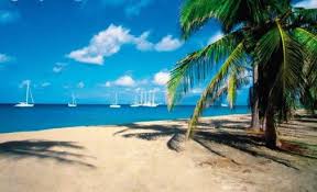 nevis