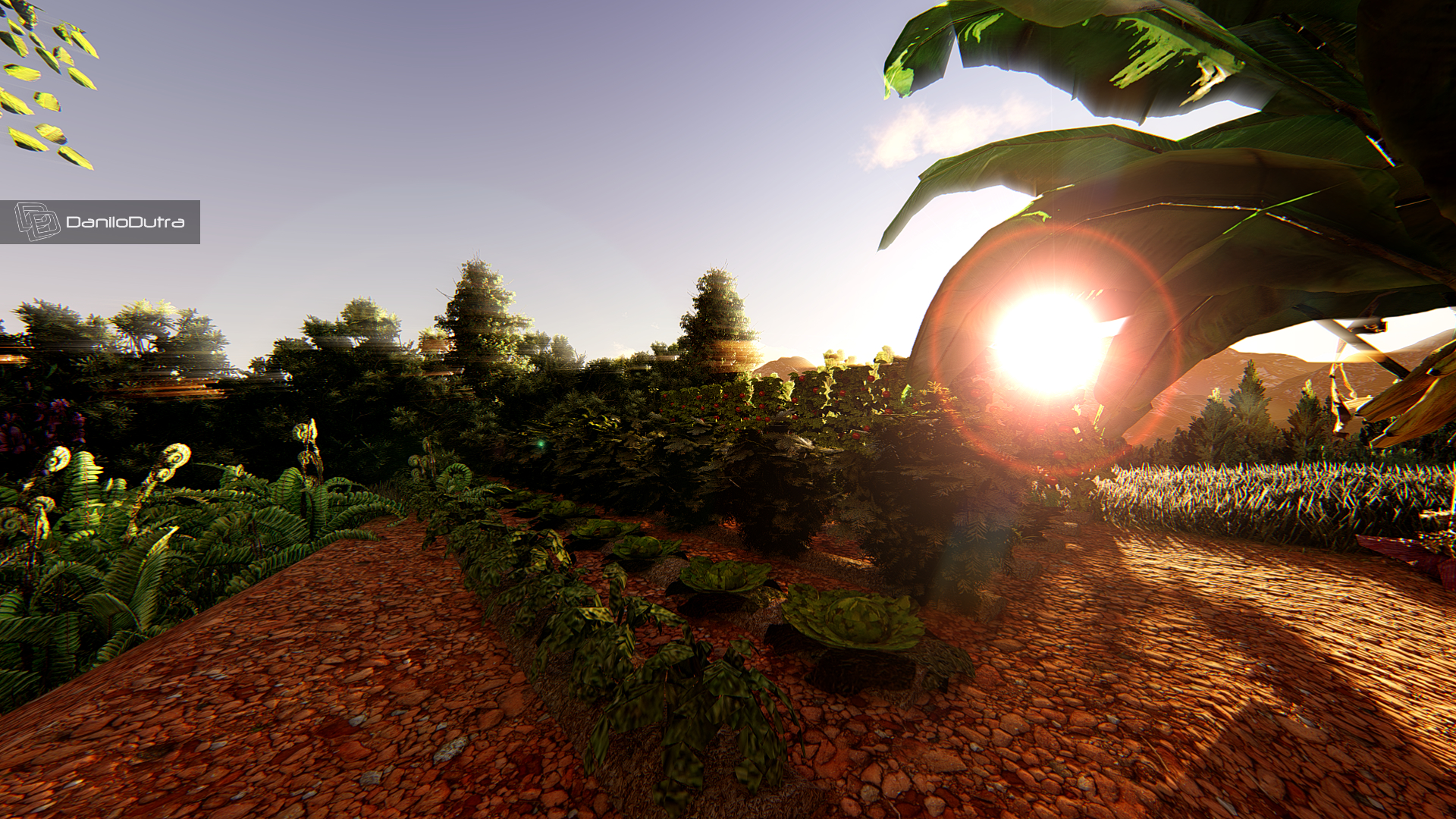 Fazendinhas do Ipiranga - JF